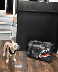 3AM PET CARRIER