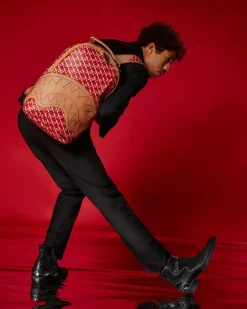 THE 3DSG CONCORDE BACKPACK