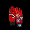 THE GLOBAL EXPEDITION GLOVES