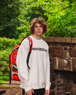 THE GLOBAL EXPEDITION HILLS BACKPACK